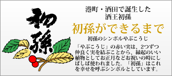 初孫ができるまで